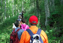 Educazione ambientale e alla Sostenibilità nel Parco Nazionale dell'Appennino Lucano-Val d'Agri